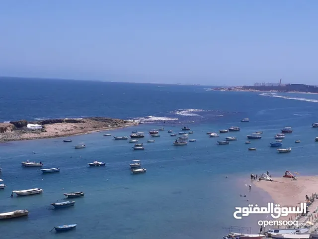 من المالك ميامي مباشره ع للبحر متاحه الان مكيفه بالكامل جميع الكماليات..مطبخ كامل وسط المدينه