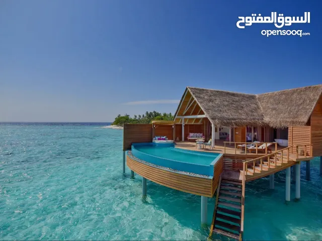 مطلوب استديو للبيع