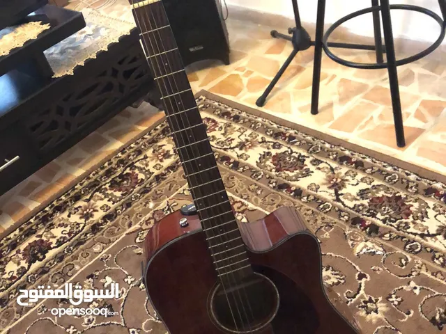 Acoustic Guitar - fender