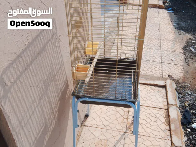 قفص طيور كبير
