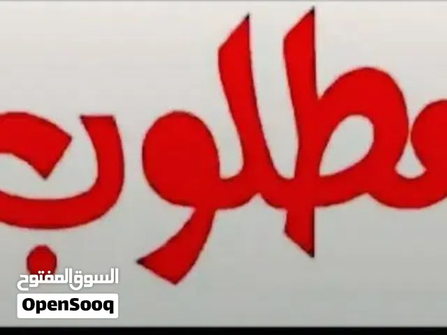 مطلوب مستعجل جدا