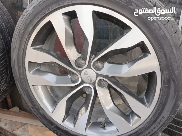 تخم ويل كب كيا حجم 18 اصلي