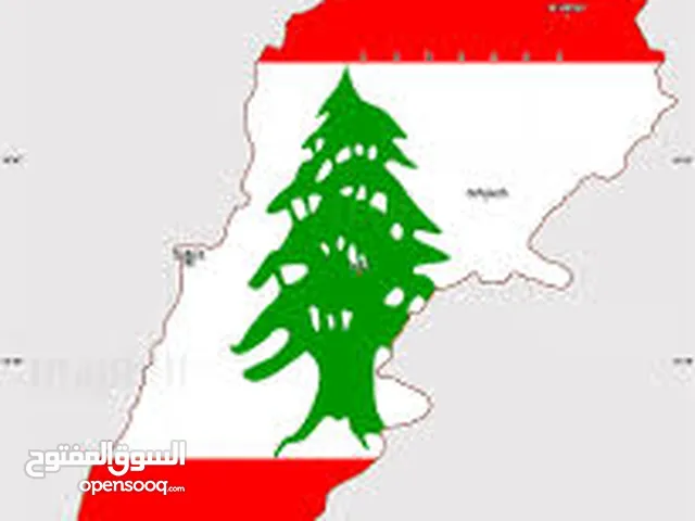 مطلوب شريك ممول لتأسيس شركة استشارات مالية في بيروت لبنان