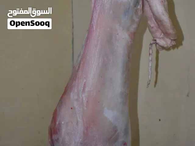 لحام متنقل لذبح اضاحي العيد  جزار متنقل