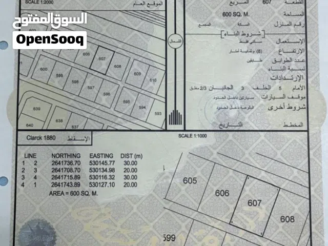 من النوادر الخط الأول ع البحر والكرتيش