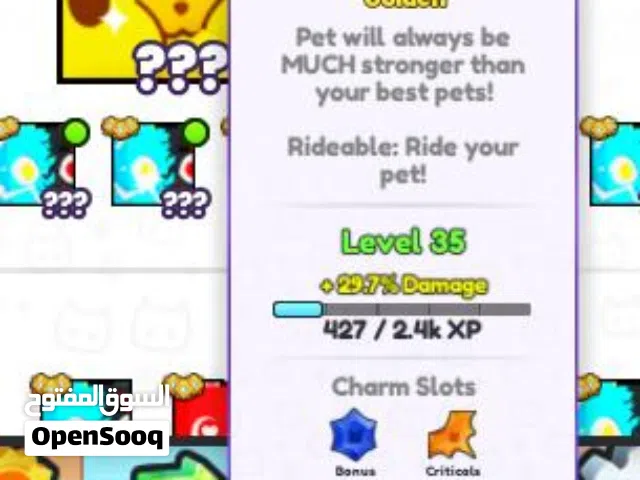 Roblox Accounts and Characters for Sale in Ramtha