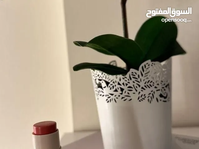 منتجات للشعر وعناية بالبشرة وعطور بأرخص الاسعار