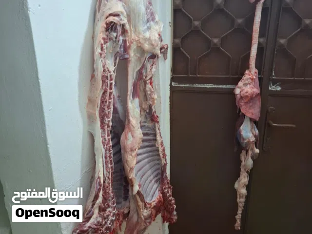 لحام متنقل لذبح  الأغنام في المنازل