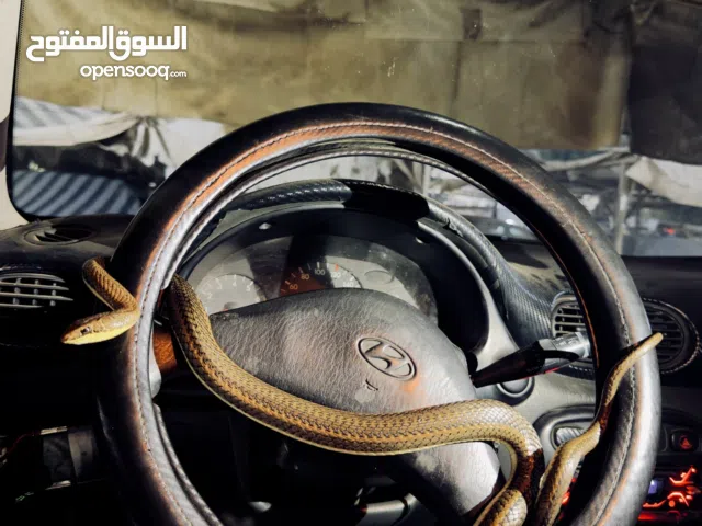 ثعبان ابو السيور -ثعبان