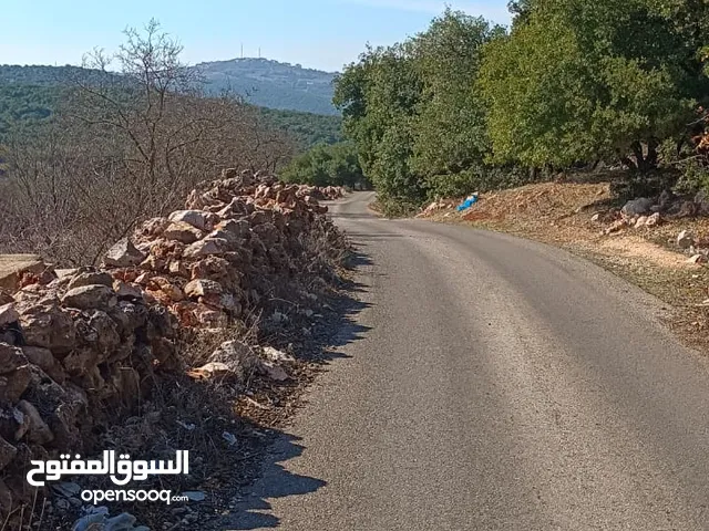 Farm Land for Sale in Ajloun A'fna