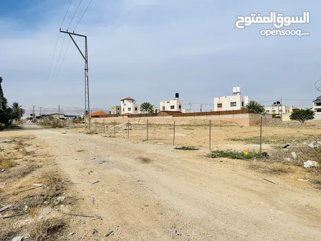 Residential Land for Sale in Jericho Amman St.