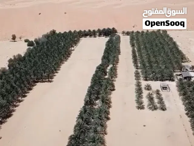 مساحة في الأراضي الزراعية متاحة Space in Farmland Available in Hameem