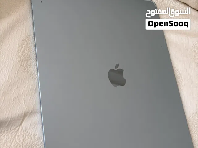 iPad Air 13-inch M3 256GB Wi-Fi + Cellular