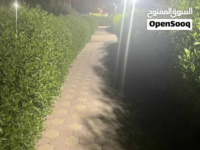 استديو مفروش للإيجار شهرين 7 و8