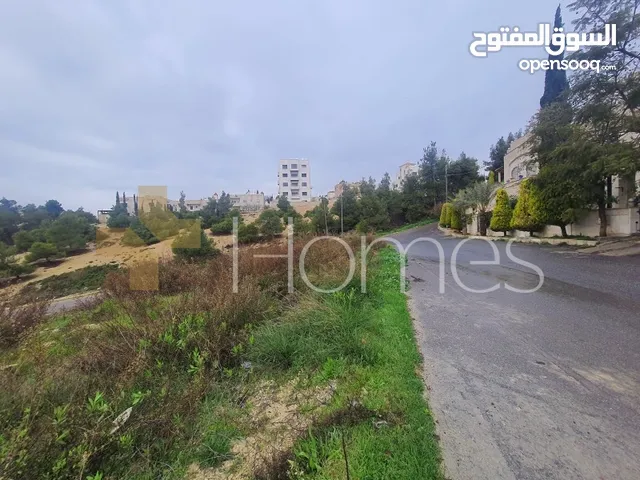 Residential Land for Sale in Amman Naour