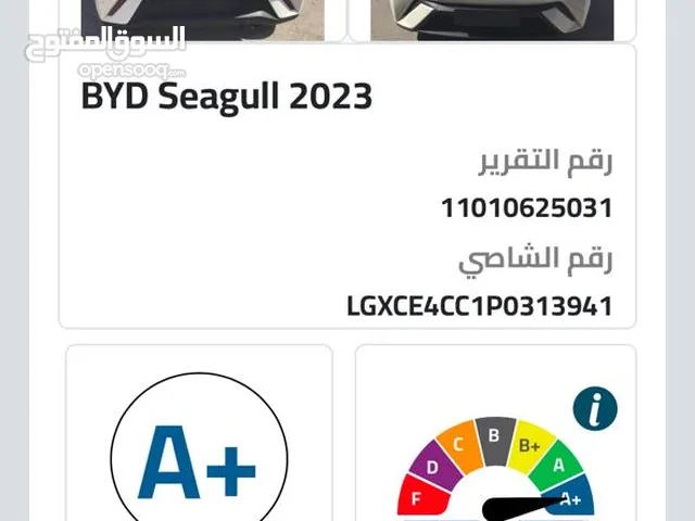 Used BYD Seagull in Zarqa