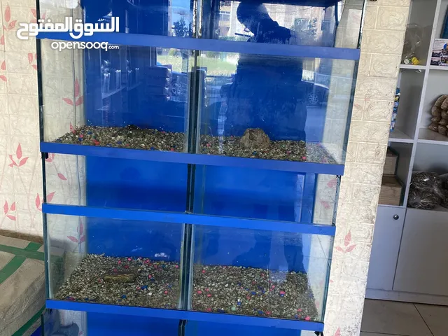 حوض سمك للبيع
