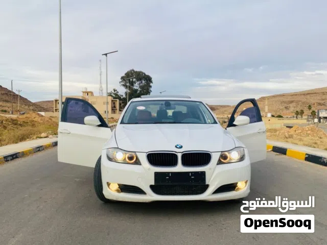2010 BMW 3 Series 320