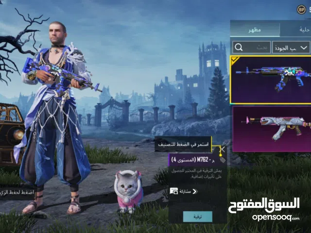 Pubg Accounts and Characters for Sale in Southern Governorate