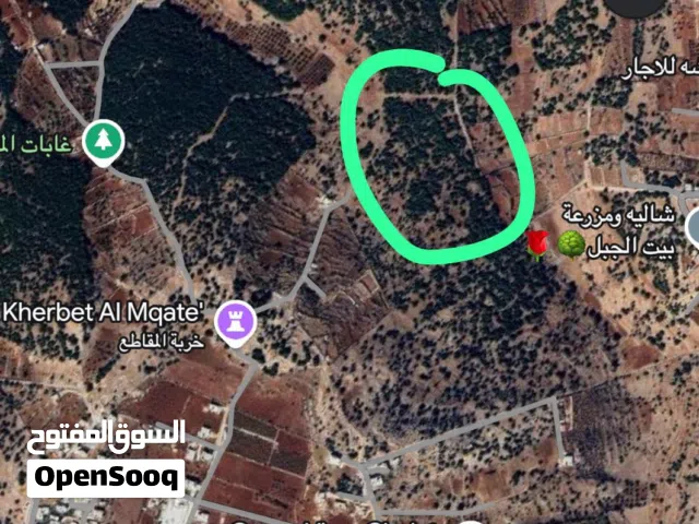 Farm Land for Sale in Ajloun I'bbeen