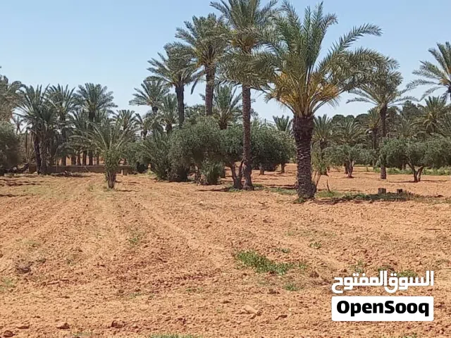 5 Bedrooms Farms for Sale in Misrata Ad Dafiniyah