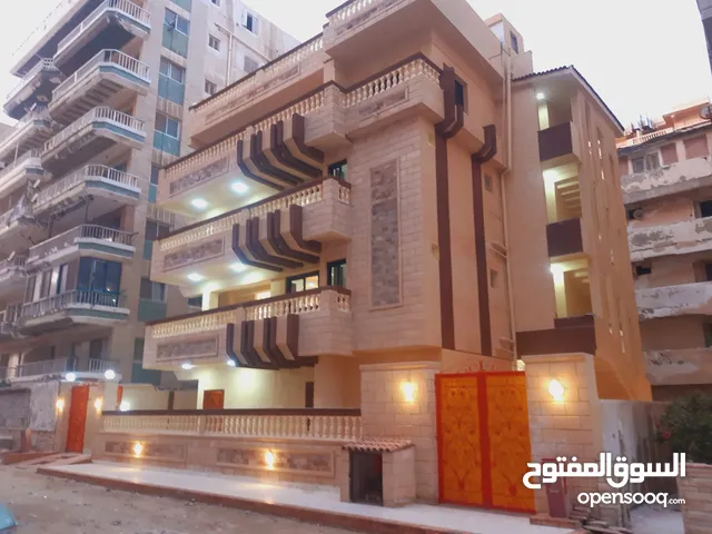 250 m2 3 Bedrooms Apartments for Sale in Alexandria Nakheel