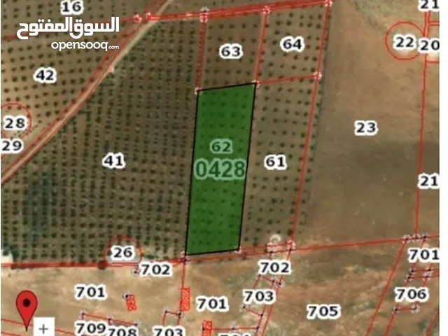 Farm Land for Sale in Mafraq Rhab