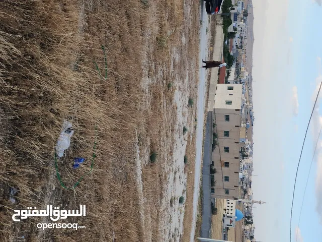قطعتا أرض متلاصقات في البيضاء أرمدان درب الحاج كل قطعة كوشان مستقل
