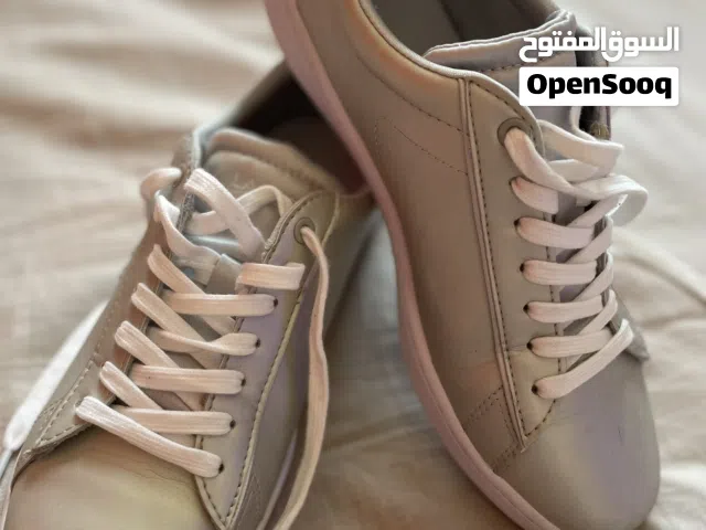 Carnaby Evo LACOSTE sneakers(Silver grey)