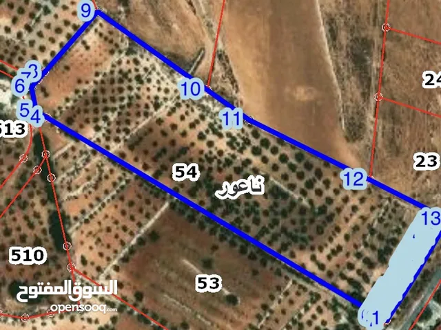 قطعة ارض للبيع في منطقة ناعور سعر الدونم 95000 دينار اردني