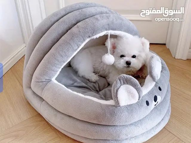 new Brand cat Homs