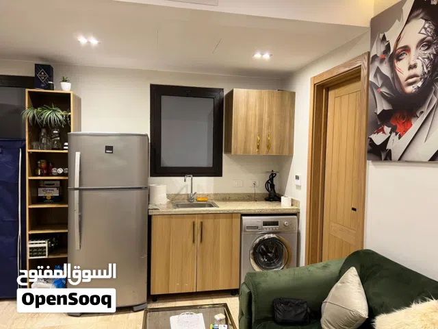 شقة الامراء بالشيخ زايد للايجار اليومي بيفرلي هيلز