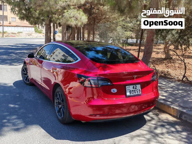 2019 تيسلا موديل 3 Standard Plus