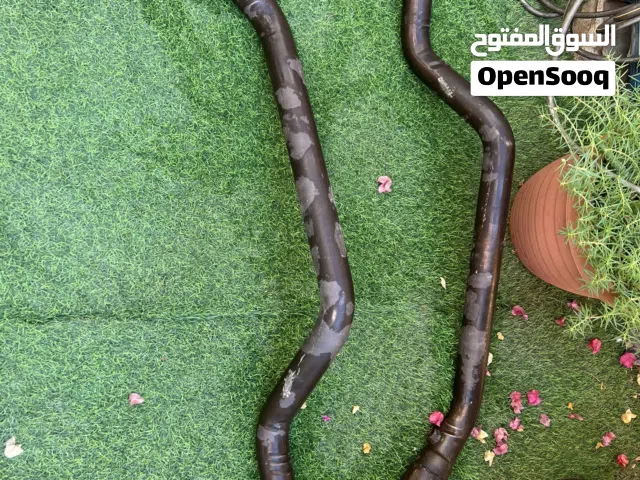 mid pipes to remove catalytic converters