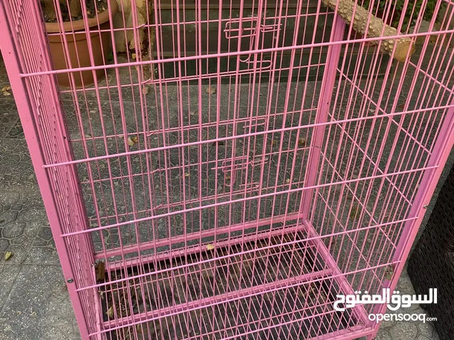 قفص ببغاء / طيور / قطط