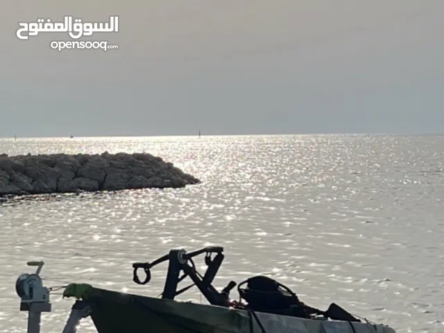 كياك الدولفين