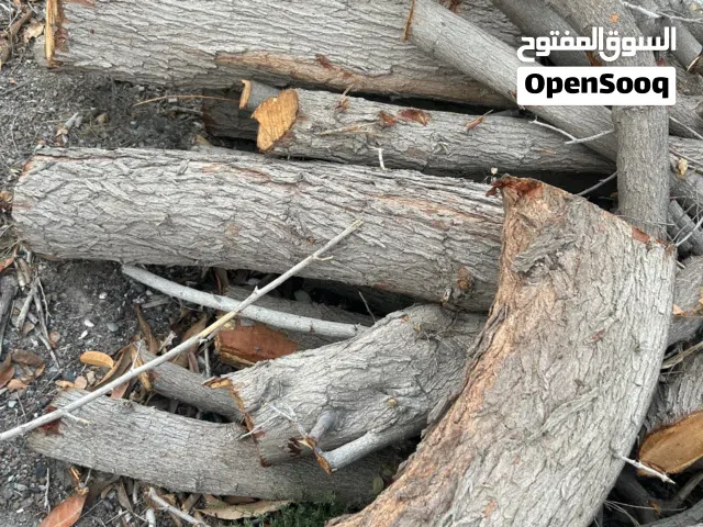 خشب سدر للبيع كميه كبيره