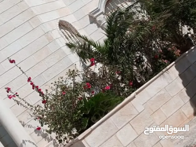 750 m2 More than 6 bedrooms Villa for Sale in Amman Shafa Badran