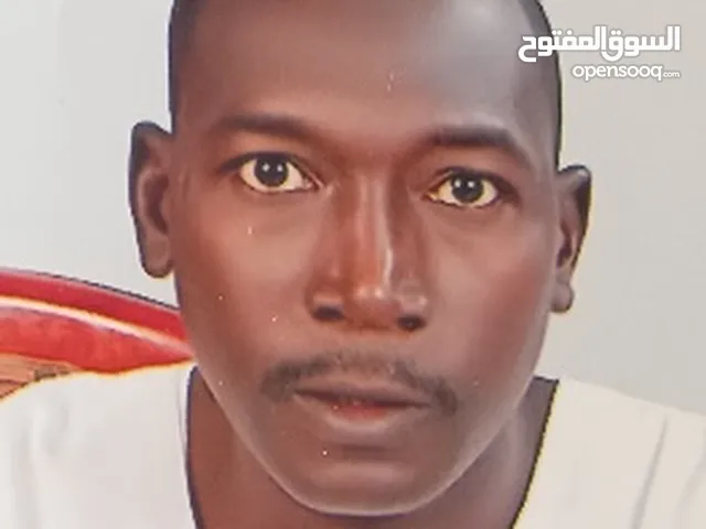 ربيعة يوسف خضر