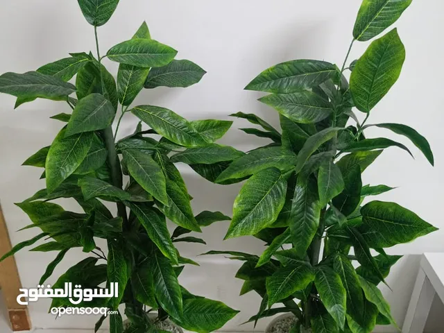 شجرة صناعية مع قاعدة بيضاء
