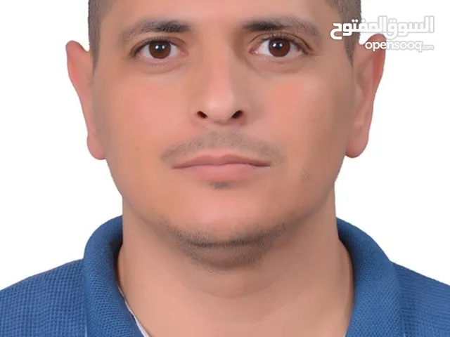 محمد محمود