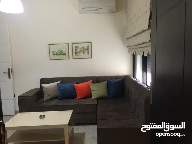 40m2 Studio Apartments for Rent in Amman University Street