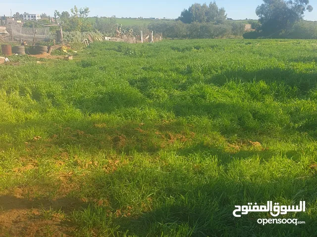 Mixed Use Land for Sale in Meknes Mèdina