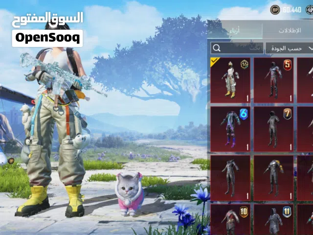 Pubg Accounts and Characters for Sale in Basra