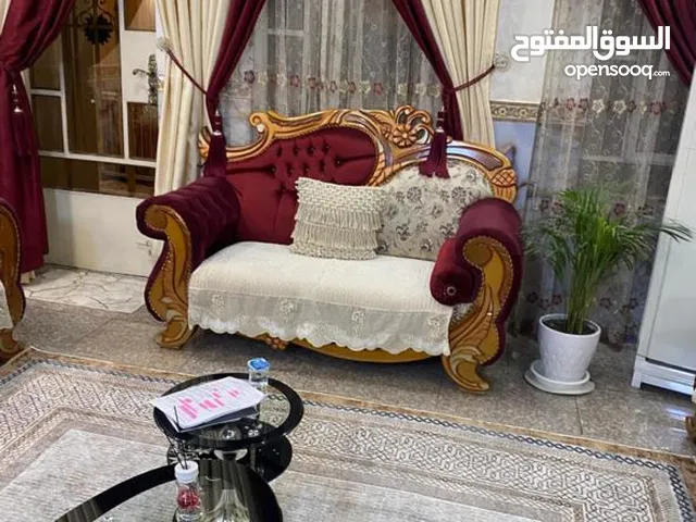 تخم قنفات تسكام عراقي بدون ضرر
