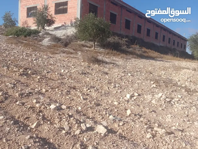 مدجنة مرخصة جاهزة للعمل