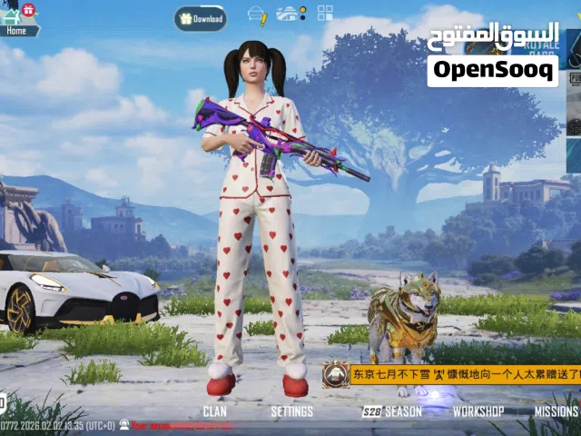 حساب ببجي العالميه