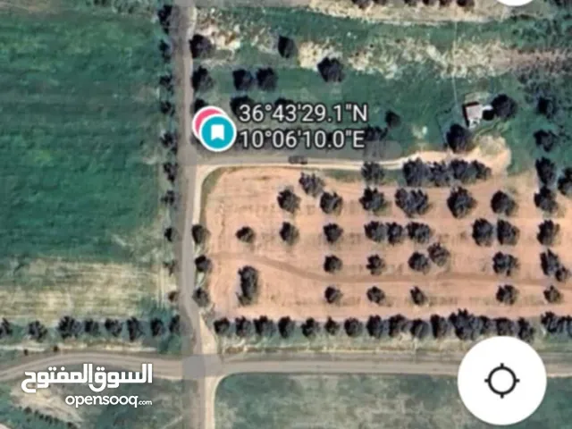 للبيع أرض مسجلة بيرين سيدي حسين السيجومي