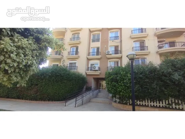 223 m2 3 Bedrooms Apartments for Rent in Cairo Rehab City