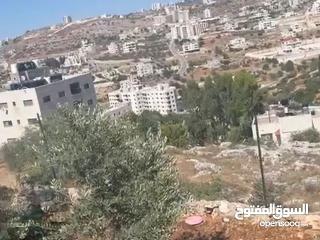 Residential Land for Sale in Ramallah and Al-Bireh Kafr Ni'ma